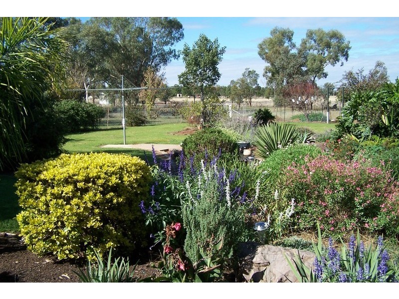 252 Meldorn Lane, Hallsville NSW 2340