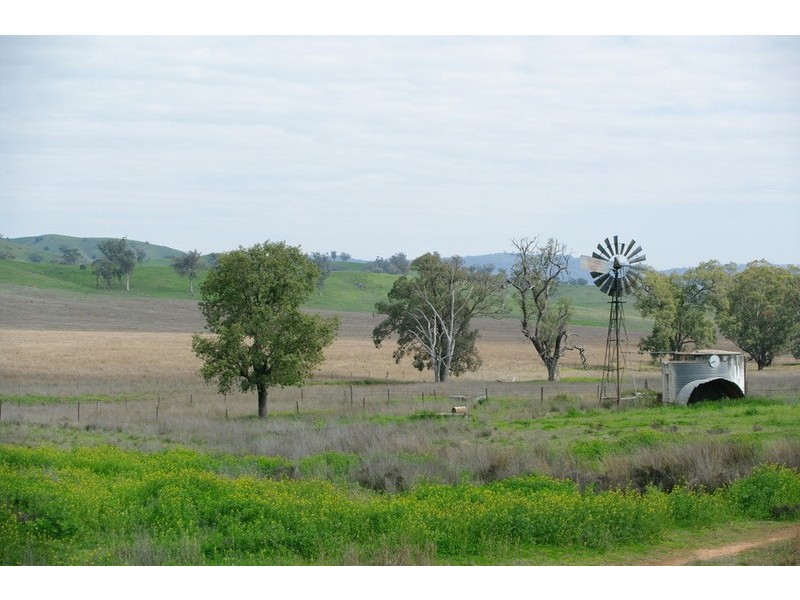 Myora Park Halls Creek Road, Manilla NSW 2346