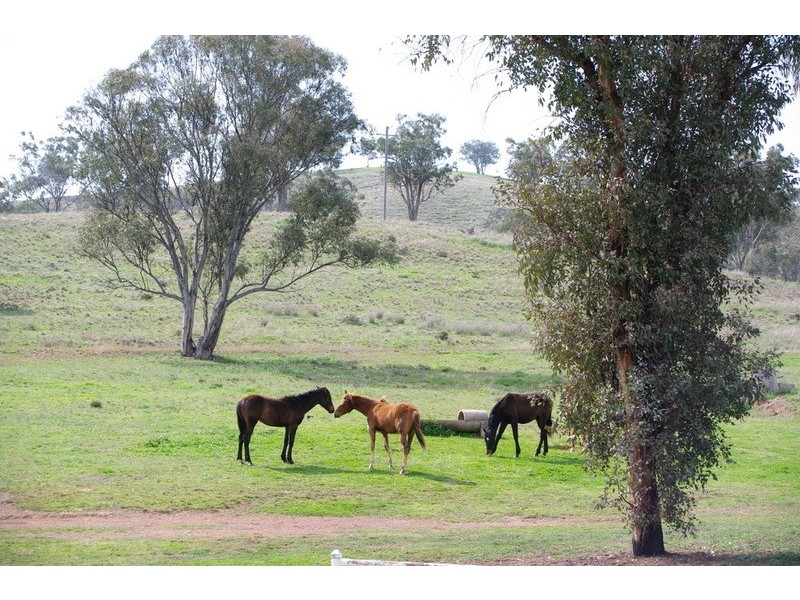 Myora Park Halls Creek Road, Manilla NSW 2346