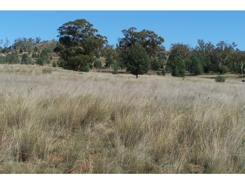 1194 Rushes Creek Road, Manilla NSW 2346