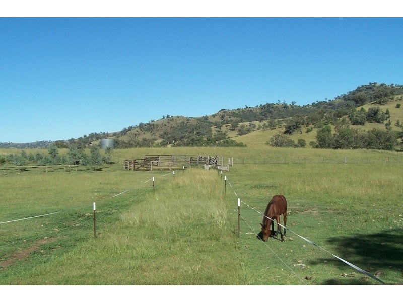 557 Wisemans Arm Road, Tamworth NSW 2340