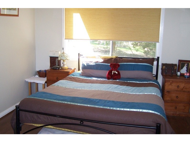 557 Wisemans Arm Road, Tamworth NSW 2340