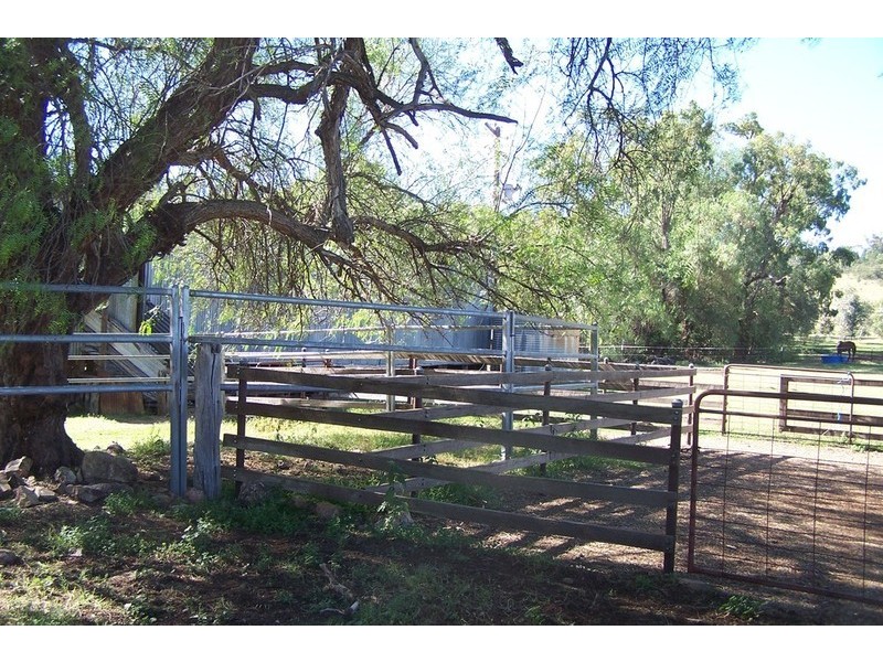 557 Wisemans Arm Road, Tamworth NSW 2340