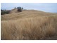 Wombramurra Ranges Valley Road, Nundle NSW 2340