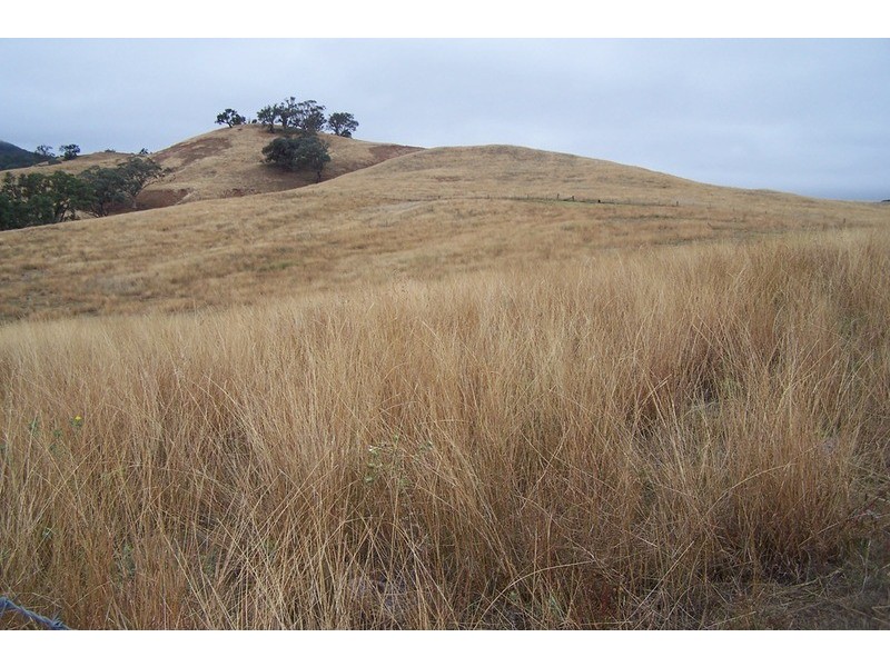 Wombramurra Ranges Valley Road, Nundle NSW 2340