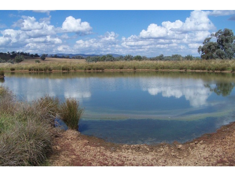 “Kooyong” Manilla, Manilla NSW 2346