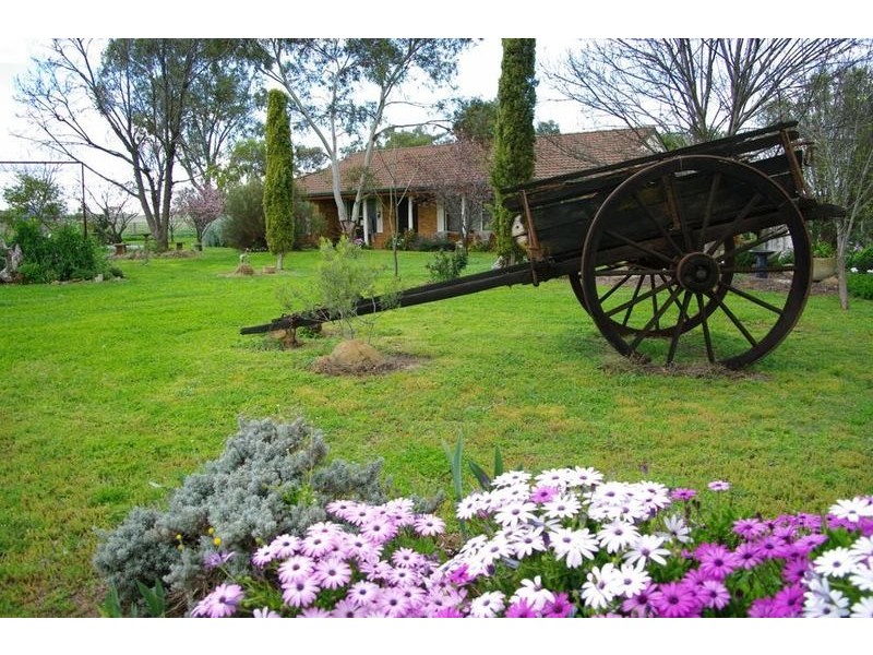 Attunga NSW 2345
