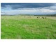 Attunga NSW 2345
