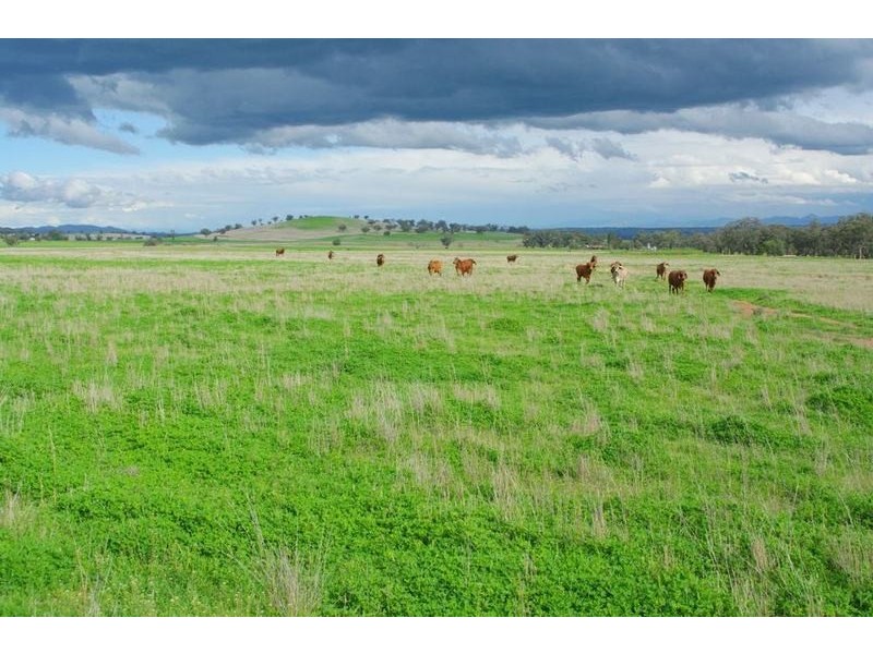 Attunga NSW 2345