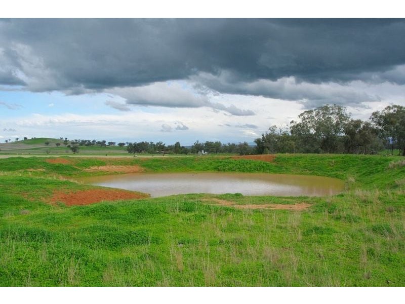 Attunga NSW 2345