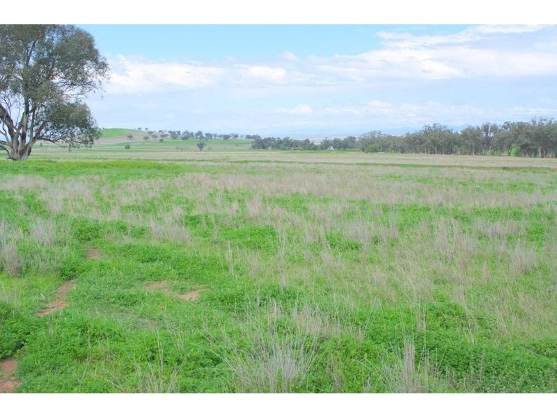Attunga NSW 2345