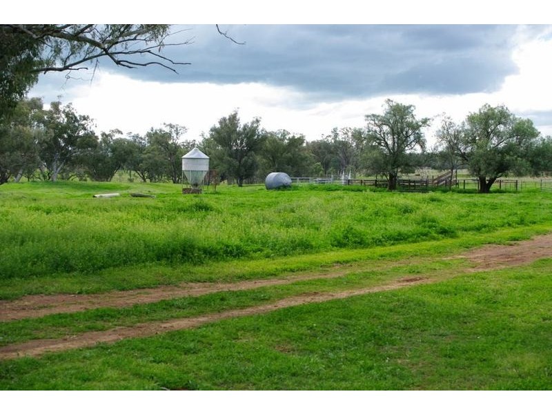 Attunga NSW 2345