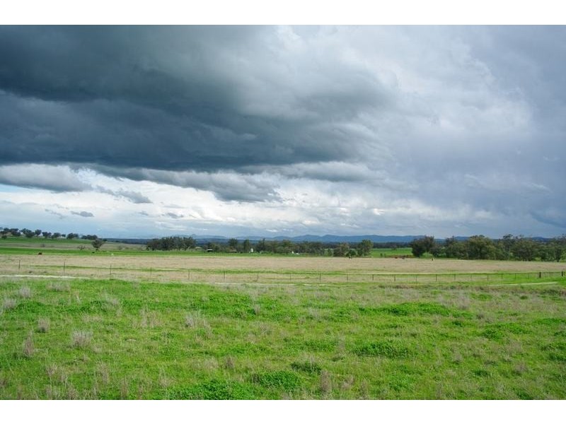 Attunga NSW 2345