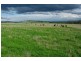 Attunga NSW 2345