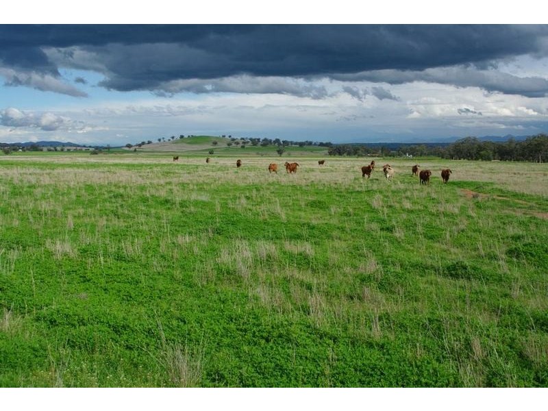 Attunga NSW 2345
