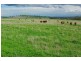 Attunga NSW 2345
