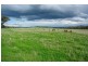Attunga NSW 2345