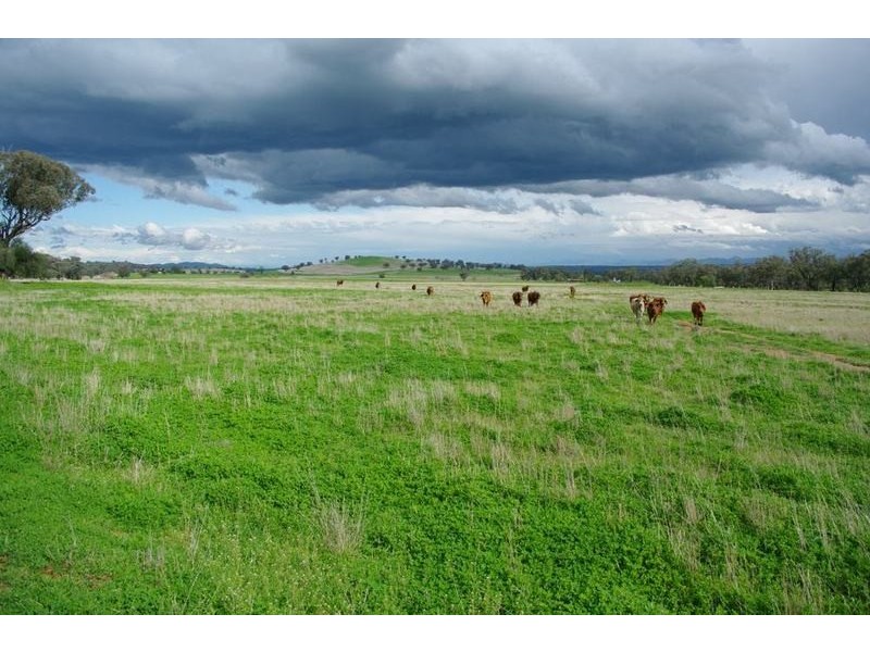 Attunga NSW 2345