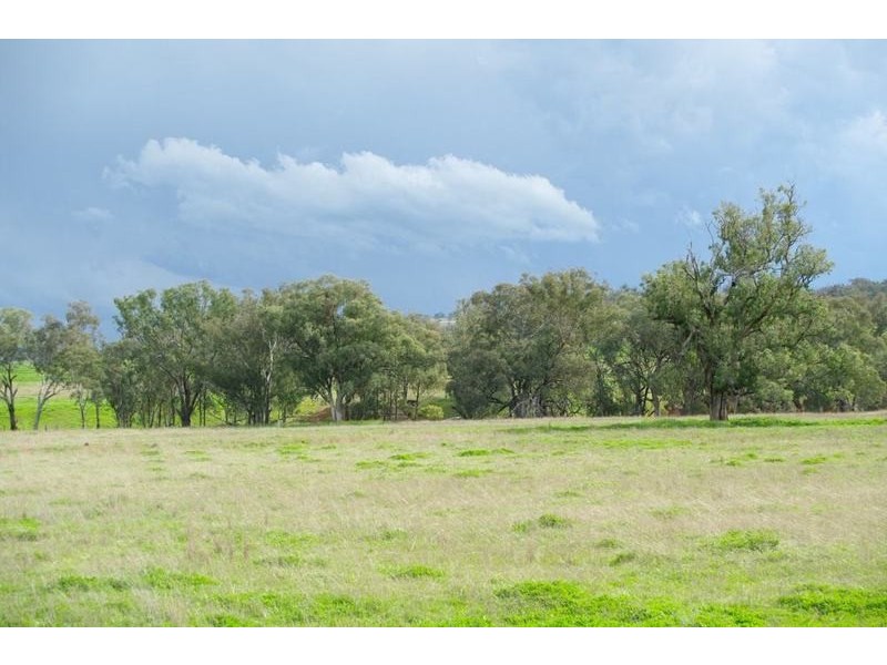 Attunga NSW 2345