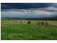 Attunga NSW 2345