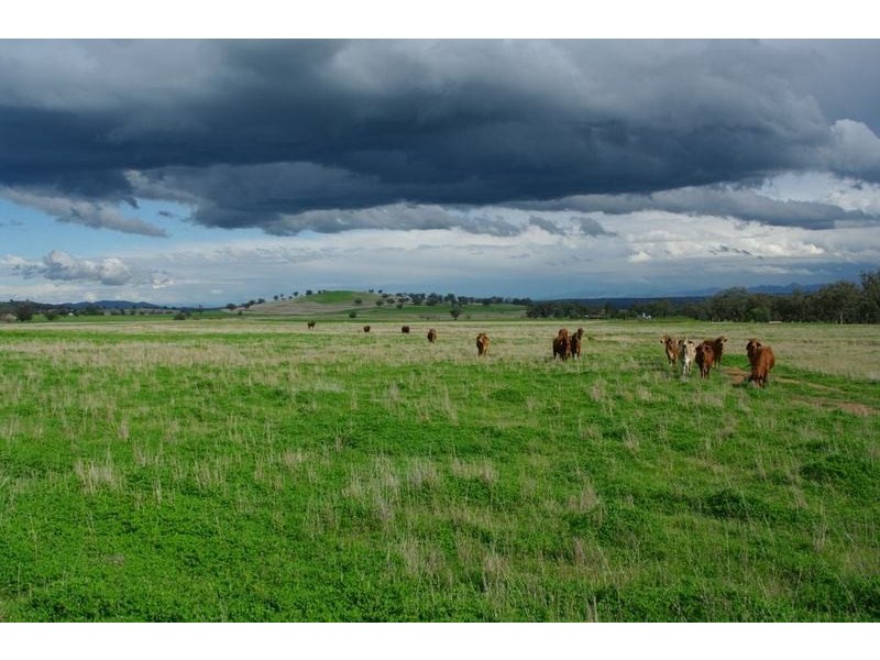Attunga NSW 2345