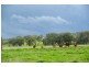 Attunga NSW 2345
