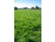 Piallamore NSW 2340