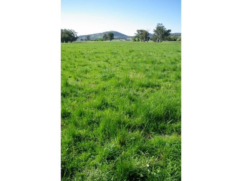Piallamore NSW 2340