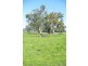 Piallamore NSW 2340