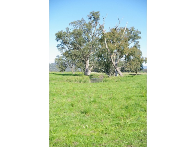 Piallamore NSW 2340