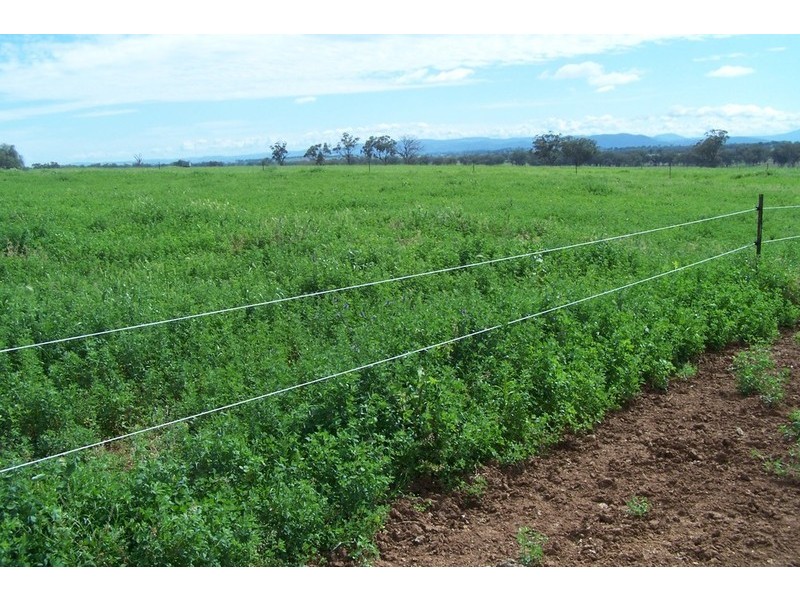 “Glenroy” Gowrie Road, Duri NSW 2344