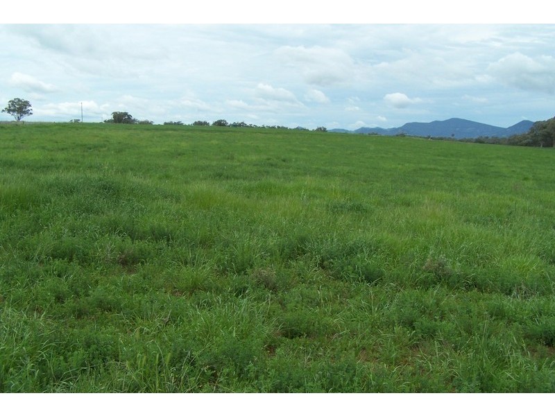 “Glenroy” Gowrie Road, Duri NSW 2344