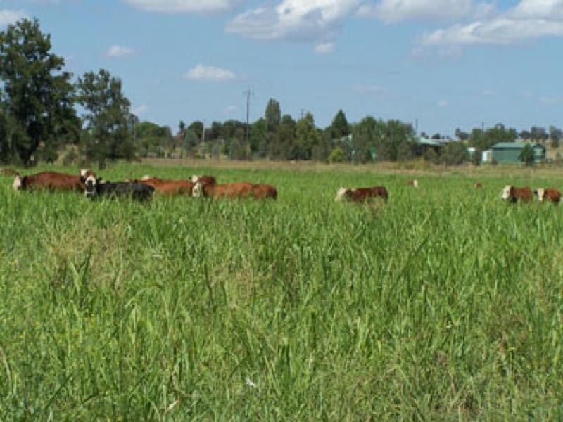 509 Burgmann’s Lane, Tamworth NSW 2340