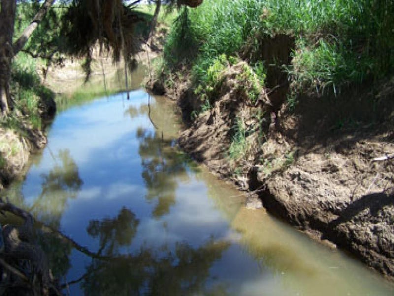 509 Burgmann’s Lane, Tamworth NSW 2340