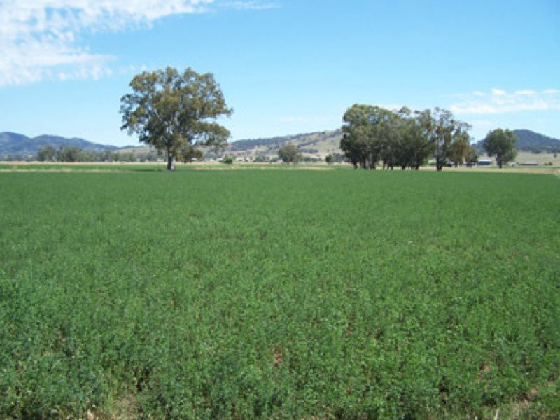 0 0, Tamworth NSW 2340