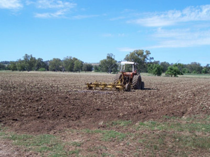 0 0, Tamworth NSW 2340