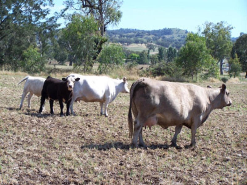 0 0, Tamworth NSW 2340