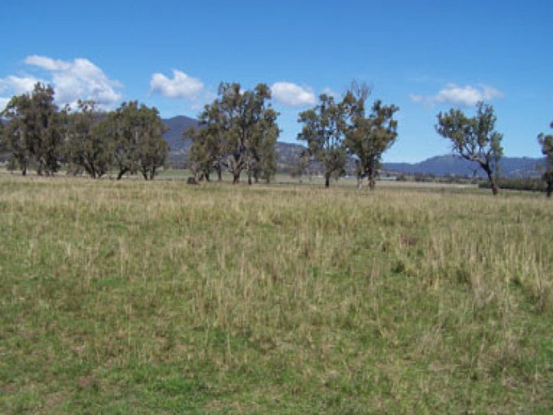 0 0, Willow Tree NSW 2339