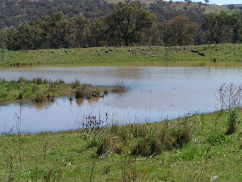 0 0, Willow Tree NSW 2339