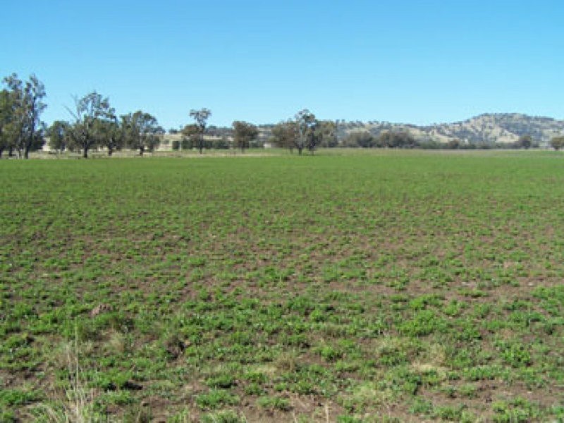 0 0, Willow Tree NSW 2339