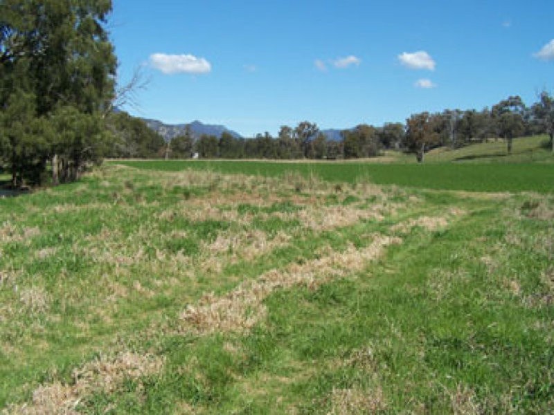 0 0, Willow Tree NSW 2339