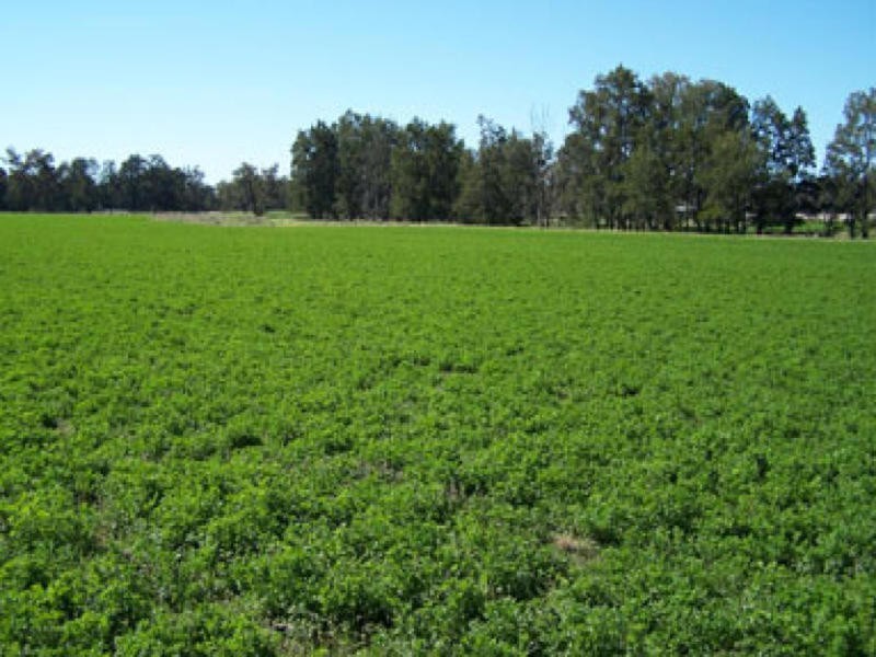 0 0, Willow Tree NSW 2339