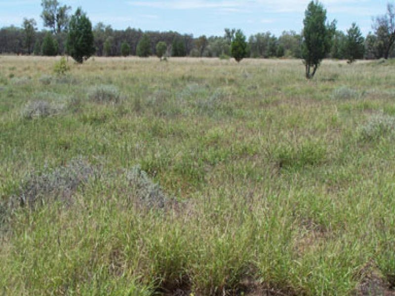 0 0, Lightning Ridge NSW 2834