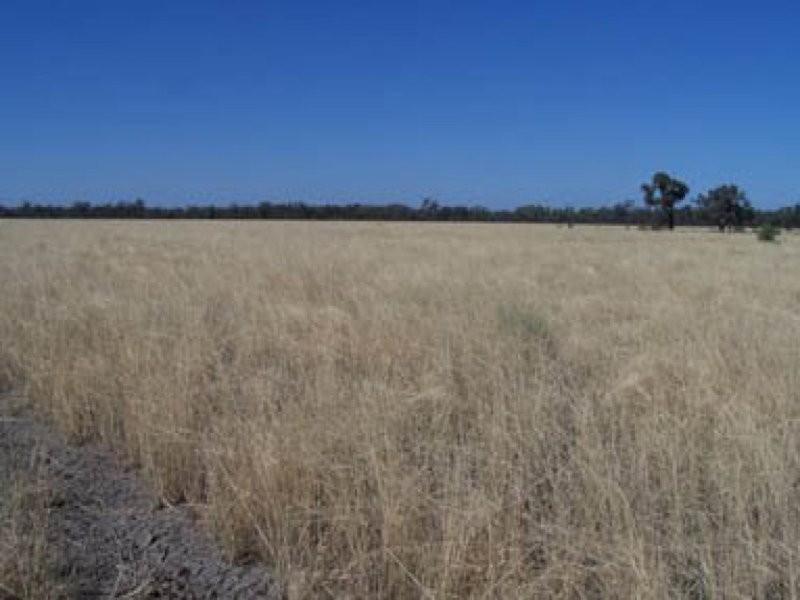 0 0, Lightning Ridge NSW 2834