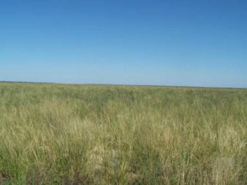 0 0, Lightning Ridge NSW 2834