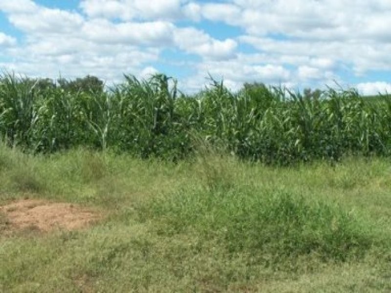 0 0, Manilla NSW 2346