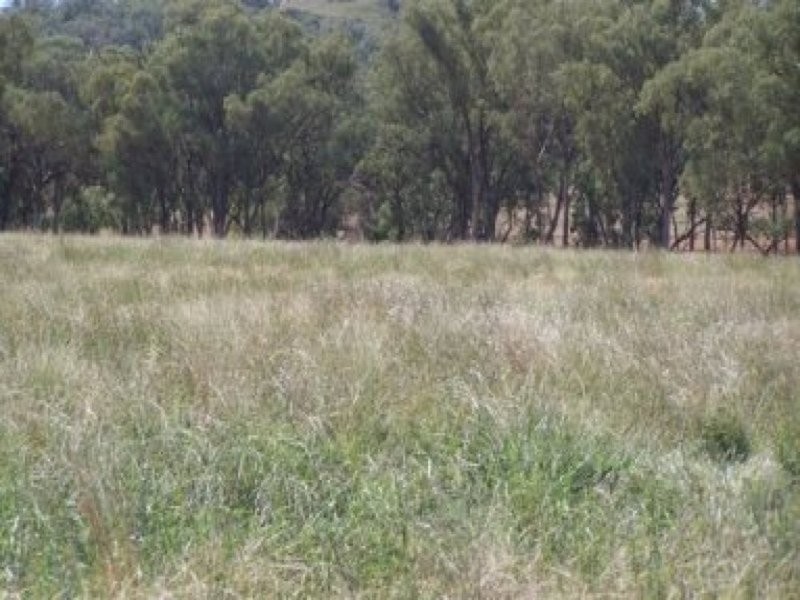 0 0, Manilla NSW 2346