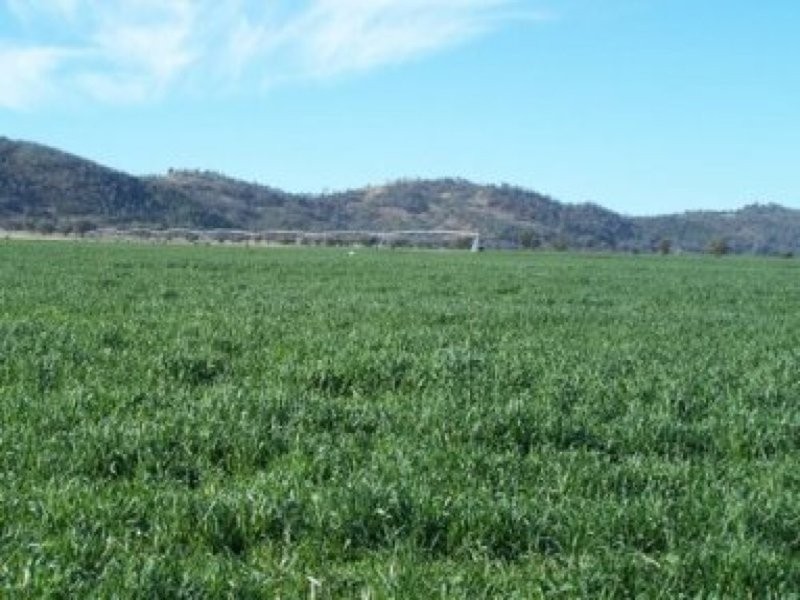 0 0, Manilla NSW 2346