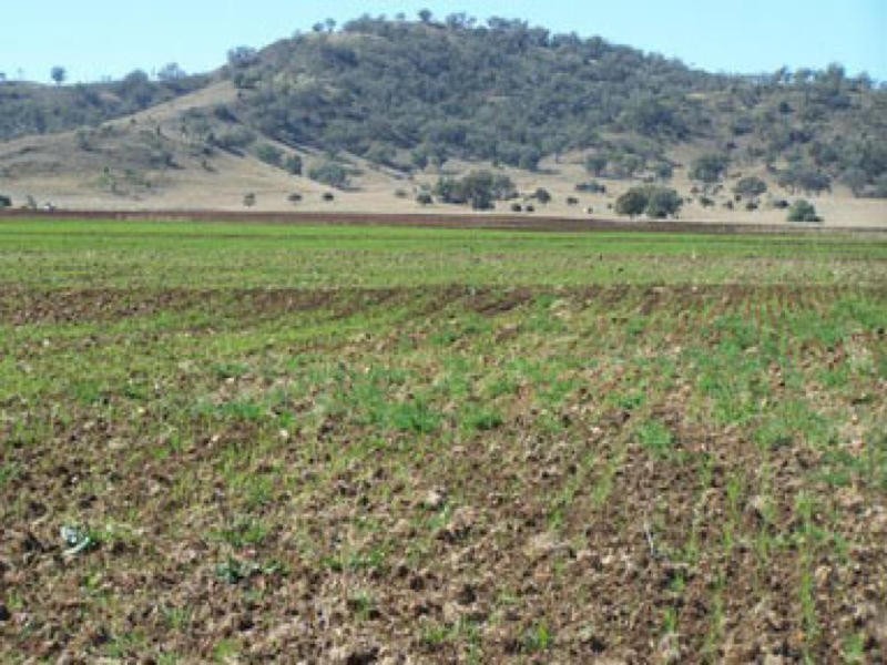 0 0, Manilla NSW 2346