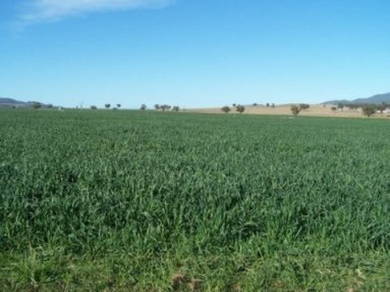 0 0, Manilla NSW 2346